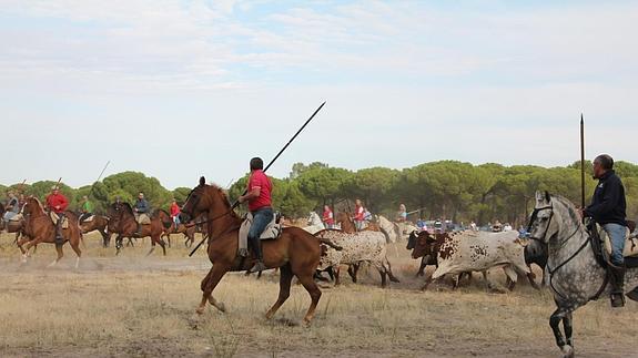 Un herido por asta de toro en el cuello en el primer encierro de Portillo