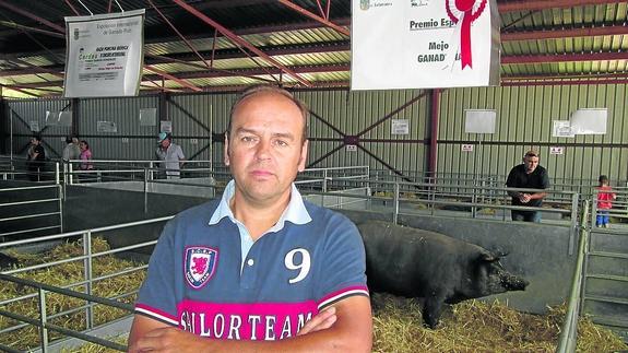 La feria premia a un ganadero por conservar la variedad ibérico lampiño
