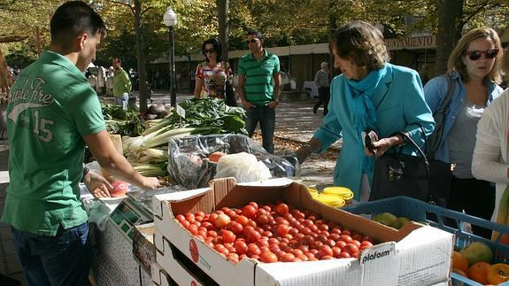 El Ayuntamiento de Cuéllar contratará a un auxiliar de apoyo en Servicios Sociales