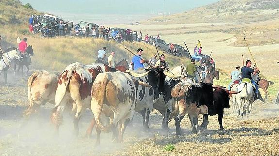 El culto taurino acapara la fiesta en honor de la Exaltación de la Santa Cruz