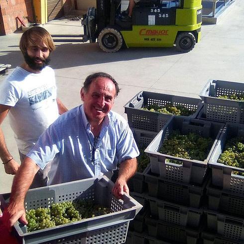 La uva verdejo segoviana alcanza una calidad excelente