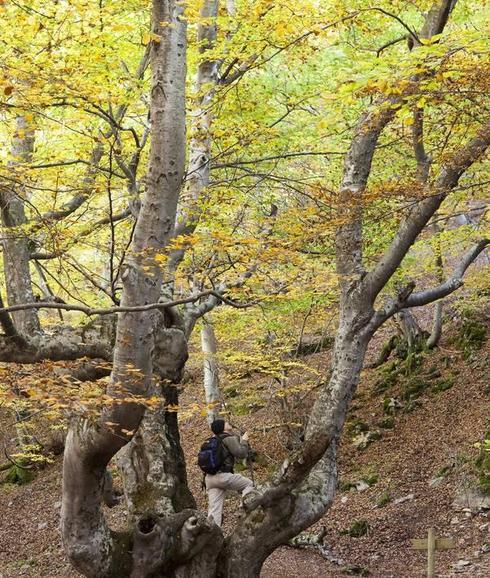 El lunes se reanudan las entregas de los '20 paseos fáciles por Castilla y León'