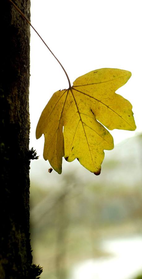 El verano dice adiós con sol y el otoño llega con aires fresquitos
