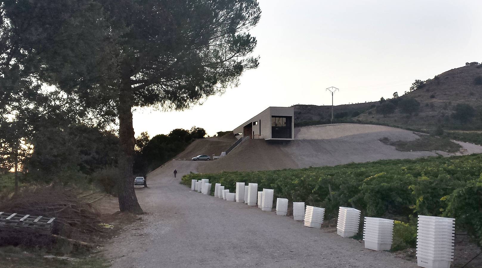 La vendimia llega a Castilla y León con 16 bodegas nuevas