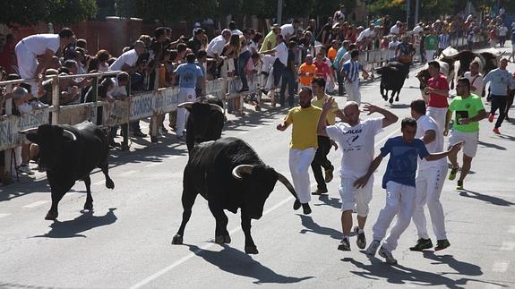 Muchos corredores y vistosas carreras en el último encierro de las fiestas naveras