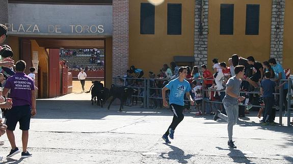 San Miguel toma las calles