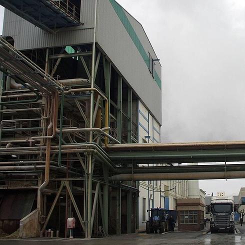 Entran en Toro las primeras 5.000 toneladas de remolacha de las 955.000 que esperan