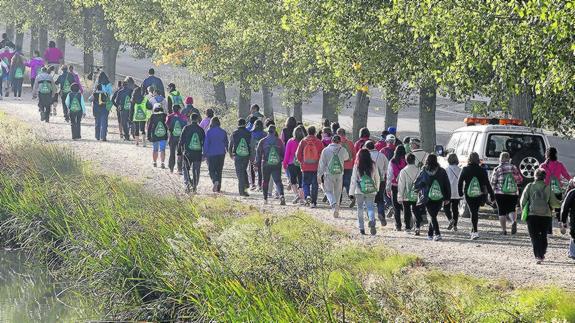 La marcha de la red San Cebrián reúne a unos 1.400 caminantes