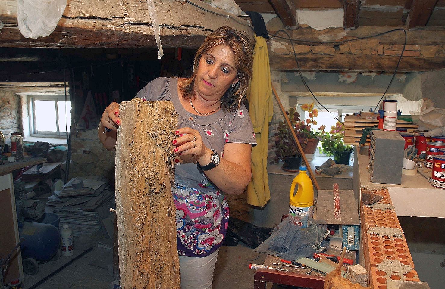 Carbonero de Ahusín espera la solución a la plaga de termitas que arruina las casas