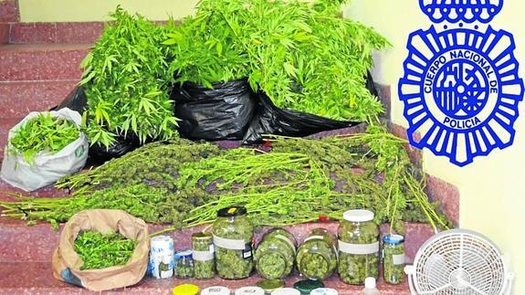 Dos detenidos en Salamanca y uno en Béjar por cultivar ‘maría’ en el balcón