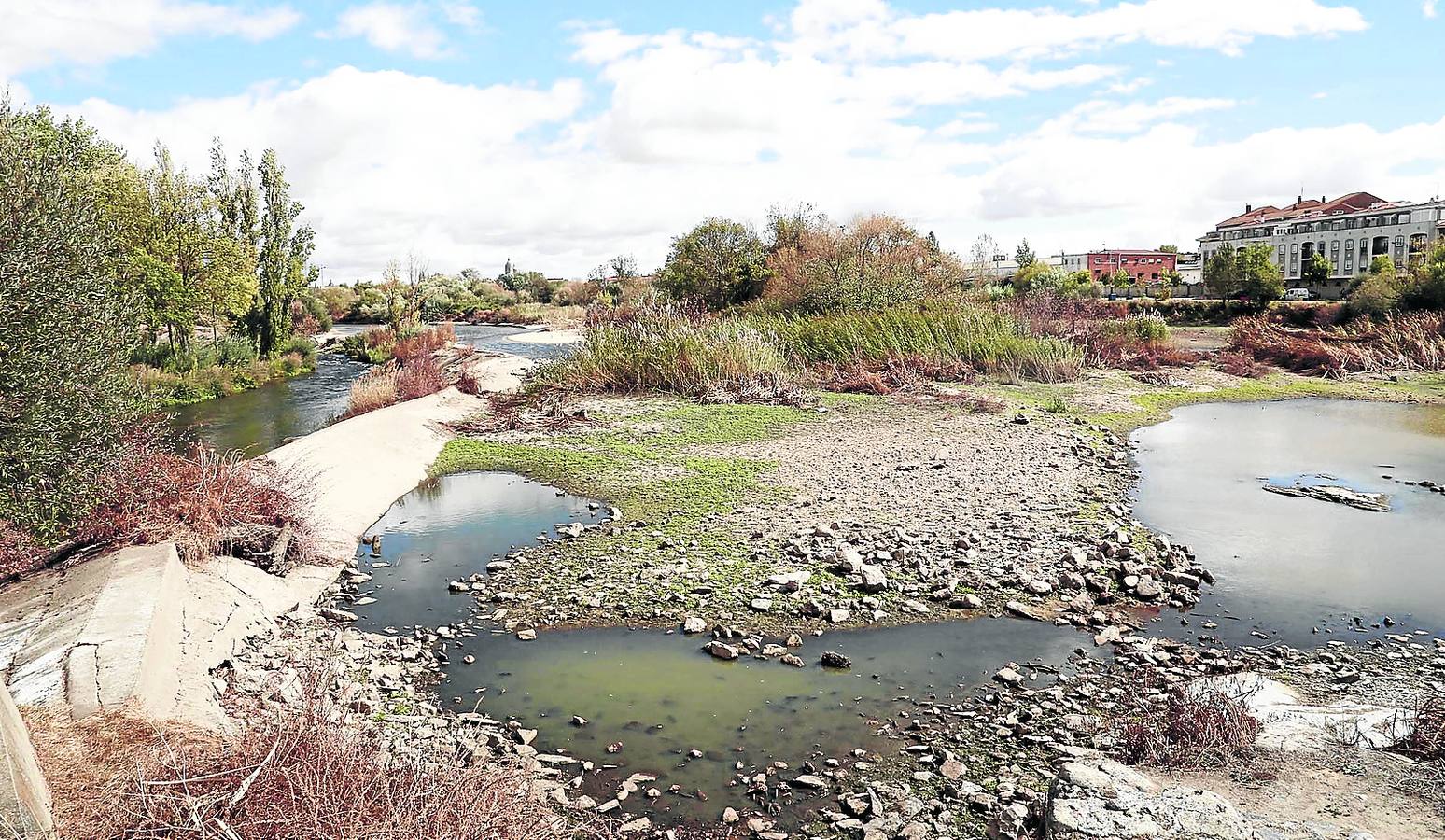 Mañueco se remite a la CHD como responsable del futuro de la pesquera de Tejares