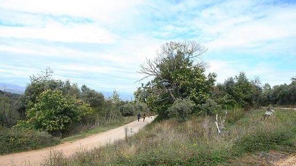 Una disputa familiar por la recogida de castañas se salda con un muerto por disparos en San Juan de Paluezas