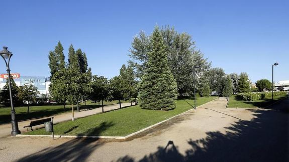 Juicio este martes contra el hombre acusado de violar y robar a una mujer junto a Vallsur