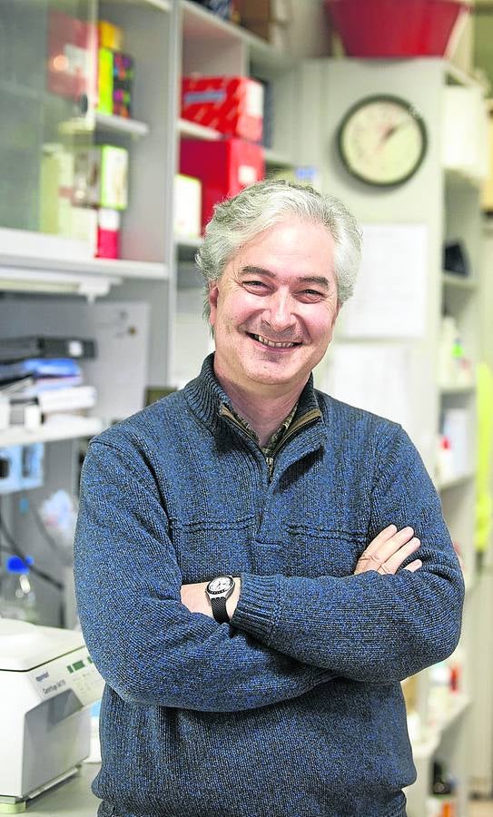 El CIC abre un nuevo flanco contra el cáncer de mama
