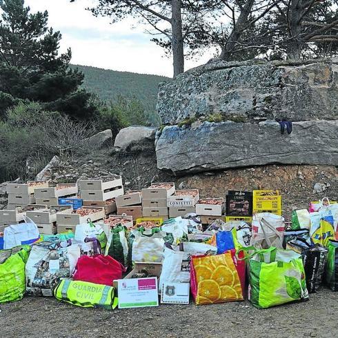 Impunes ladrones de setas