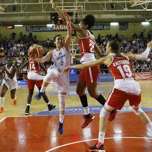 La Euroliga transforma a Avenida