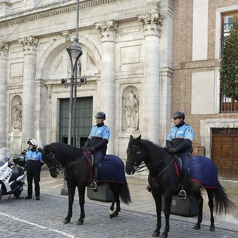 Valladolid cede a Interior los caballos de la Policía Municipal