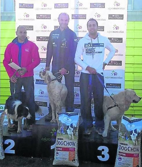 Adolfo Valentín se impone en la IIprueba del circuito provincial de Canicross en Aldeatejada