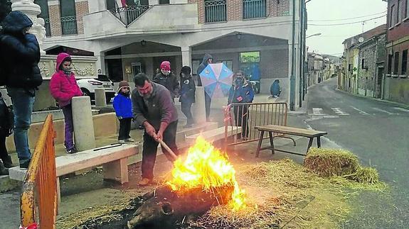 La Junta recuerda la obligación del análisis veterinario en las matanzas