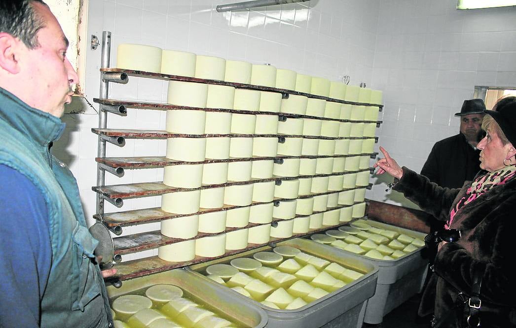 Descubriendo el Cerrato