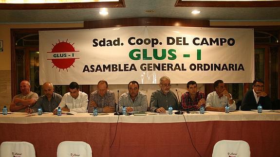 La cooperativa Glus-I alcanza unas ventas de 16,2 millones, un 19% menos que en 2014