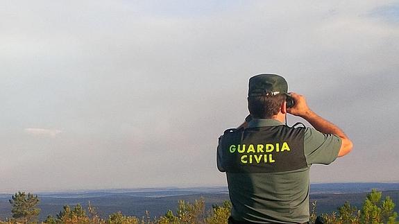 Detenido por robar gasoil de la maquinaria que trabaja en la extracción de árboles quemados en Aliste
