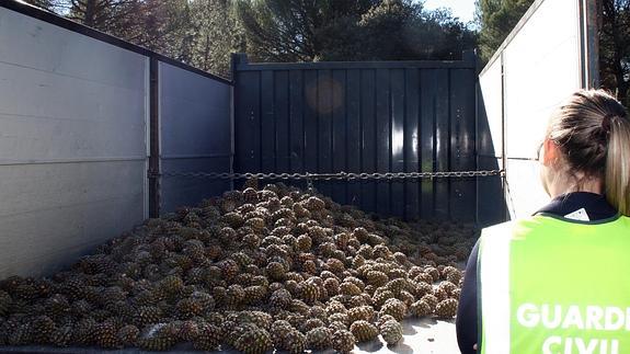 Cuatro detenidos en Gomezserracín por el robo de 2.800 kilos de piñas