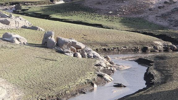 Segovia recobra el abastecimiento desde el embalse del Pontón Alto, ya libre de algas