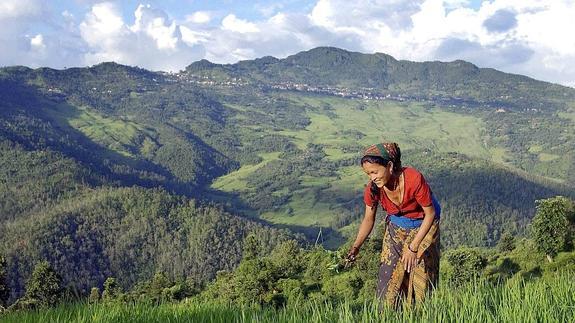 El mundo celebra el Día Internacional de las Montañas