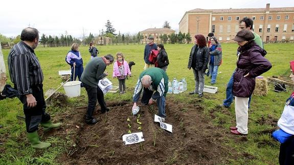 Terrenos inútiles frente a huertos comunitarios