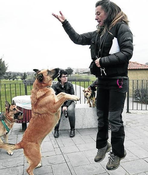 Son seres vivos, no juguetes