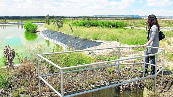 El municipio destinará a inversiones más del 17% del presupuesto de 2016