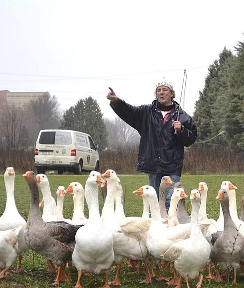 Miguelín invita a Carmena a conocer el trato que da a las ocas vetadas en la Cabalgata de Madrid