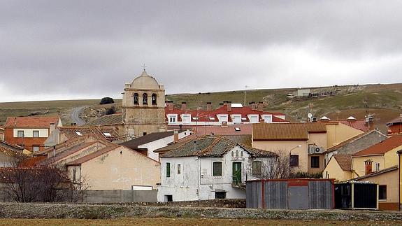 Alertan de una colonia de 30 gatos abandonados sin castrar y sin chip en Hontanares