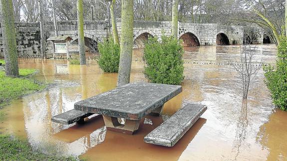 UPA y Asaja exigen la limpieza de los ríos para evitar desbordamientos