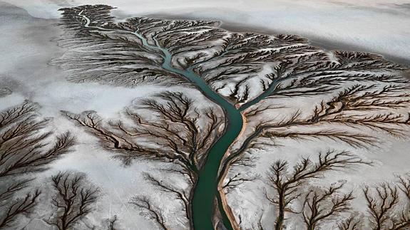 Burtynsky capta arte en el agua