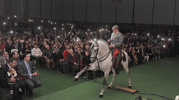 Flamenco, doma ecuestre y la entrega de premios inauguran el campeonato nacional de galgos en Nava