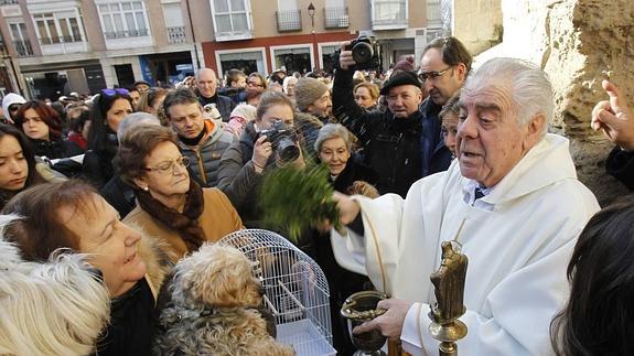 San Antón protege a las mascotas