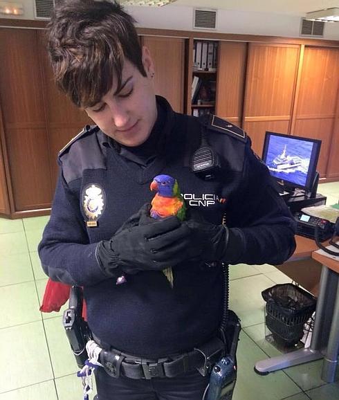 Se busca al dueño de este loro