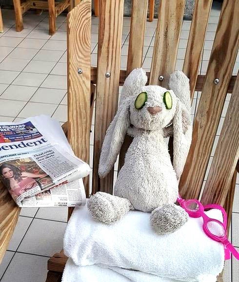 Un peluche, convertido en huésped VIP de un hotel de lujo