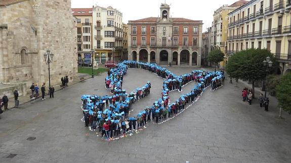 Una paloma de la paz en la Plaza Mayor de Zamora