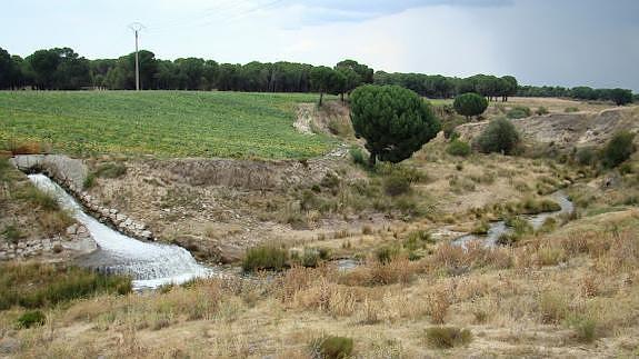 La Alhóndiga de Arévalo solicita a la CHD un caudal ecológico para el río Arevalillo
