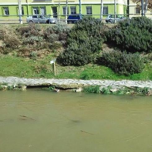 La crecida del Esgueva deja cortado el acceso al río desde Barrio España