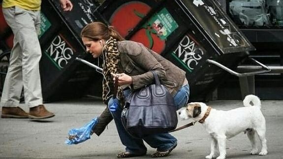 Magdalena de Suecia, imagen de una campaña para limpiar cacas de perros