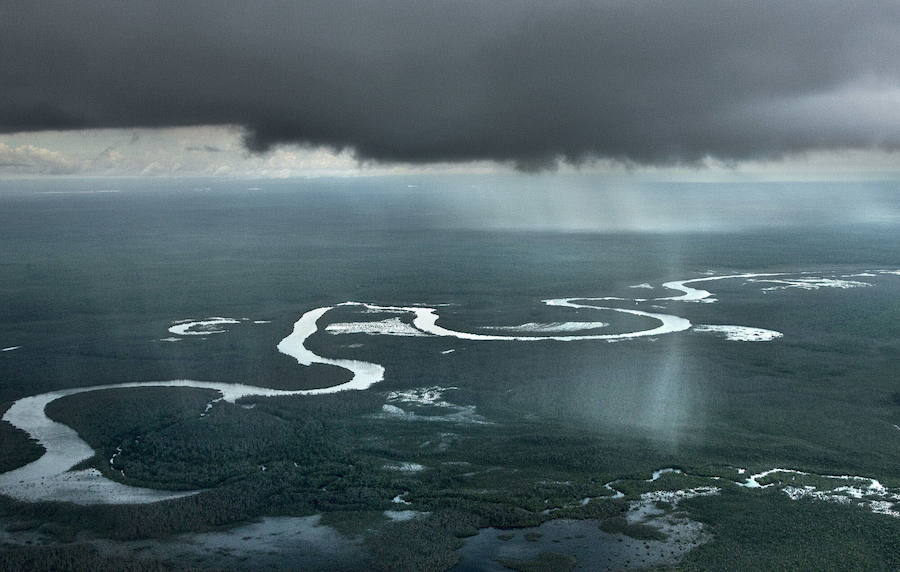 La calima, el alimento de la selva amazónica