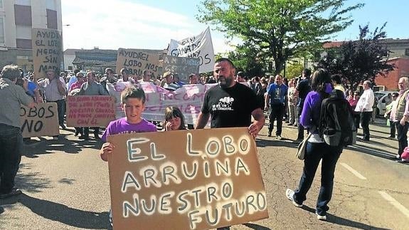 Abaduero informará sobre los ataques del lobo en la Fiesta del Almendro