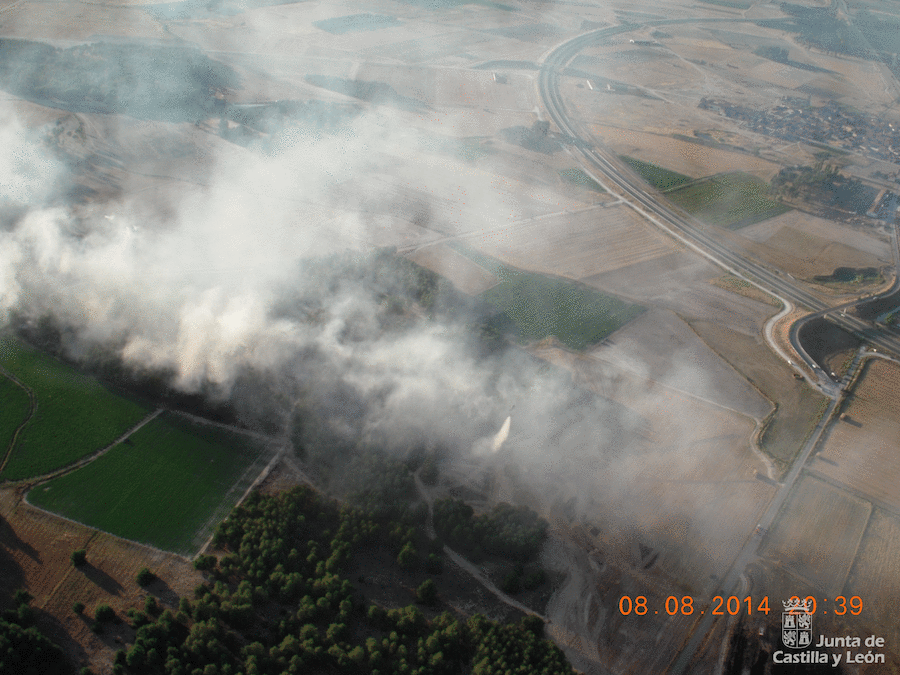 La Junta veta la ampliación de una explotación avícola en un pinar talado ilegalmente