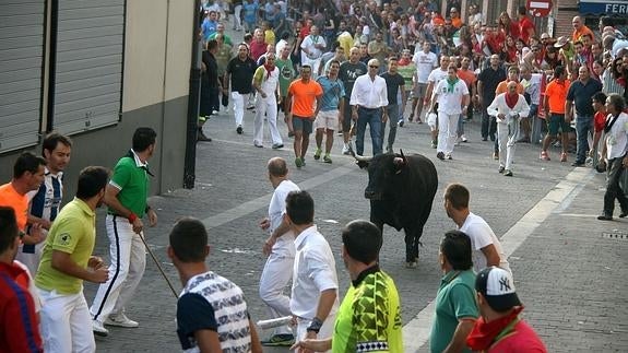 El grupo de trabajo de los encierros de Cuéllar estudia qué hacer si no entran los toros