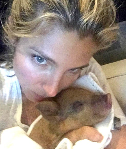 Elsa Pataky presenta a su cerda Tina