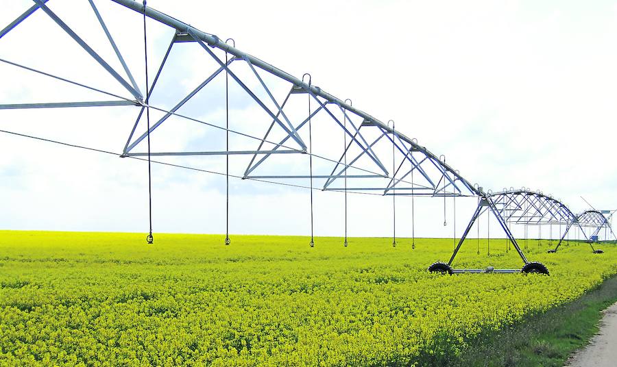 Aumenta la superficie de regadío y mejora la eficiencia de los sistemas